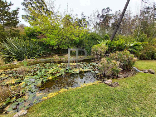 Imagen 4 de 13 de Casa En Venta Punta Del Este 3 Dorm, 3500 M2 #1732