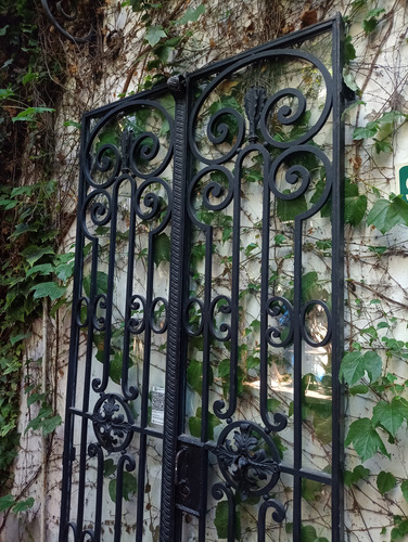 Puerta Hierro Forjado Vidriada. Antigua Negro