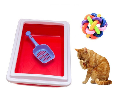 Imagen 1 de 4 de Arenero Para Gatos + Pala + Juguete Rascador