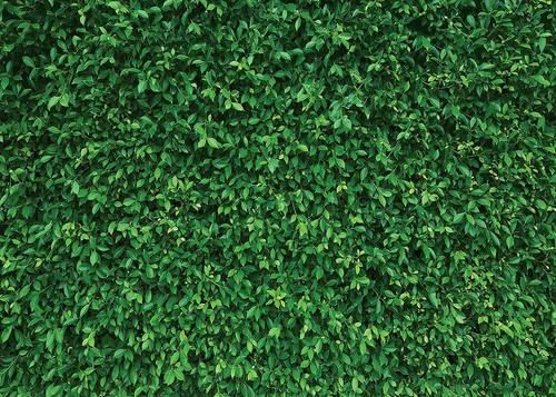 Ouyida Telón De Fondo De Hojas Verdes Para Pared, Césped .