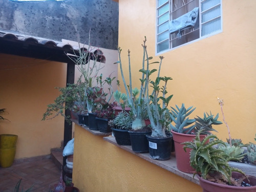 Imagem 14 de 18 de Casa