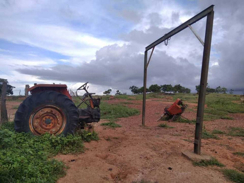 Imagen 17 de 19 de Finca De 1.410 Has En Guarico Para Actividad Agropecuaria.
