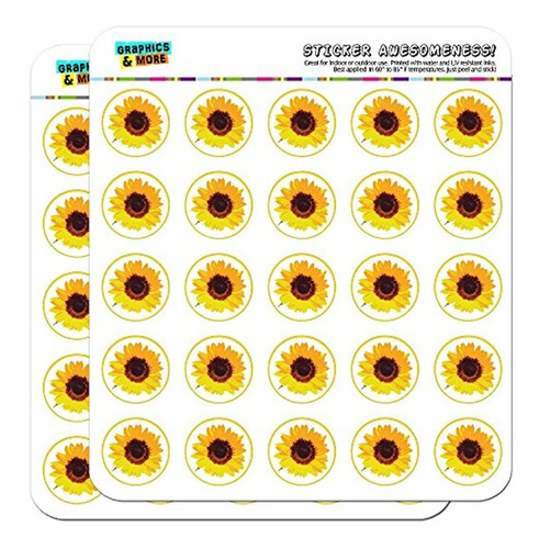 Calendario De Ducha De Girasol 1.0 In, Para Álbumes De Recor