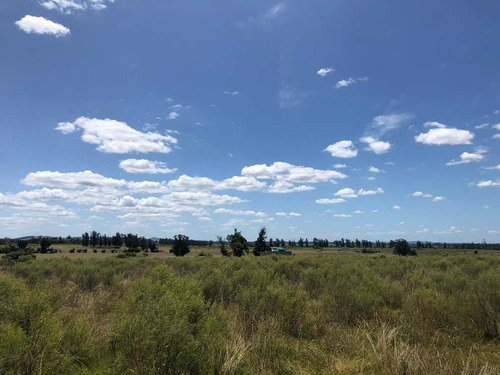 Oportunidad! Campo 7,93 Hectáreas En Camino De Los Ceibos