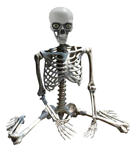 Calavera De Halloween Con Forma De Esqueleto Humano, Tamaño