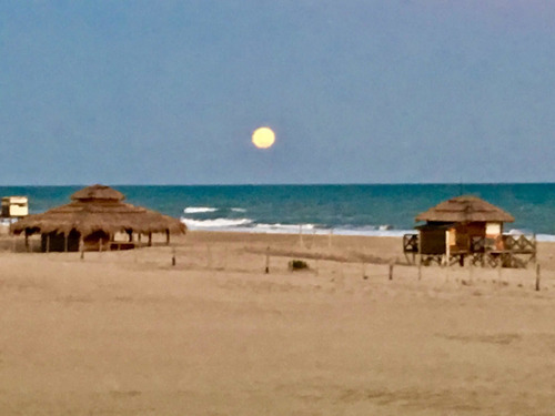 Imagen 4 de 30 de Departamento Sobre La Playa Vista Al Mar