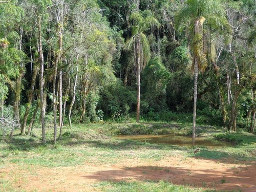 Imagem 9 de 11 de Cód 3211 - Belíssimo Terreno Com Lago Localizado Em Região - 3211