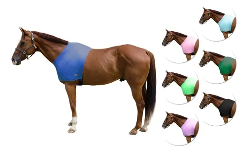 Hombrera Elástica De Lycra Para Caballos De Derby