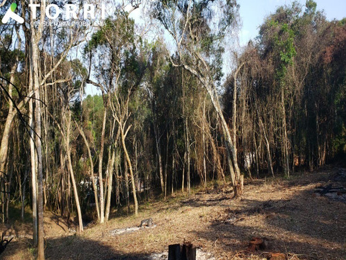 Imagem 5 de 5 de Lotes No Condomínio Sítios Lagos À Partir De 175 Mil - Tc00040 - 70191086