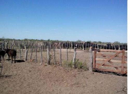 Imagen 5 de 8 de Campo - La Pampa- Pichi Mahuída Y Cuchillo Có- Ganadero