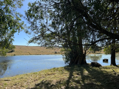 Imagen 3 de 30 de Campo 10 Has Y Media Con Casa Y Manantial Con Agua Permante. Consulte!!!!!!!!! - Zona Rural Zona Rural