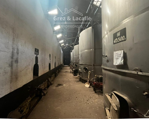 Se Arrienda Bodega De 5.200 Mts2 Molina