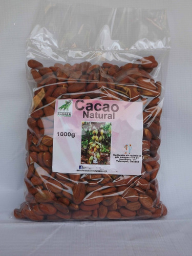Cacao Organico (2 Kg De Semilla)