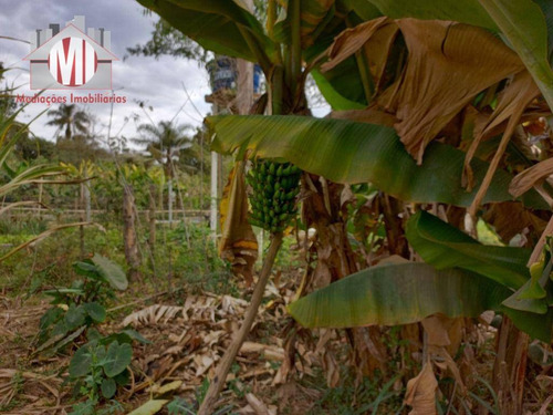 Imagem 23 de 30 de Ótima Chácara Com 3 Dormitórios, Rico Em Água, Lago E Nascente, Arborizada, Bem Localizada, À Venda, 5000 M² Por R$ 280.000 - Rural - Tuiuti/sp - Ch1011