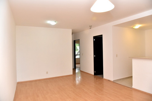 Imagen 3 de 21 de Departamento En Renta En El Sur De La Ciudad