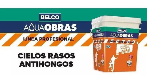 Imagen 2 de 5 de Pintura Cielos Rasos Antihongos Belco Profes Obras 18 Litros