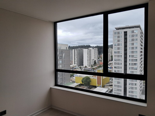 Departamento En Arriendo 2 Dorm.concepción, Plaza Condell