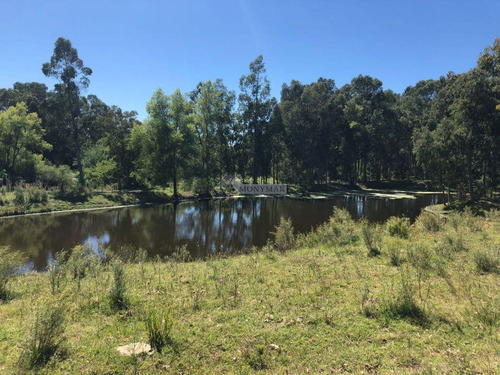 Venta Terreno Manga Camino El Cordero 36980m2 A Mts. Camino Pedro De Mendoza E Instrucciones