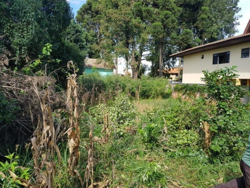 Terreno No Portão. - Te0144 - 34982958