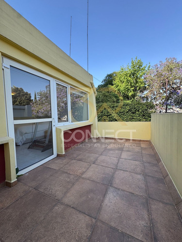 Casa En Renta O Venta En Lomas De Chapultepec 4r/3.5b/4e - Terraza - 600m2