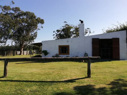 Campo En Venta En Rocha Ref. 7123