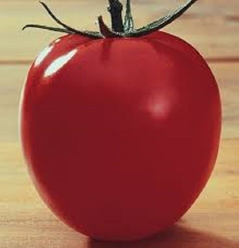 Tomate Ipa6 - 100gr Sementes Frutos Vermelhos E Firmes
