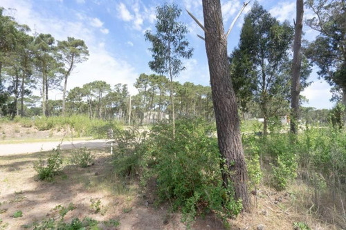 Imagen 3 de 4 de Lote En Venta - Zona Alamos - Pinamar