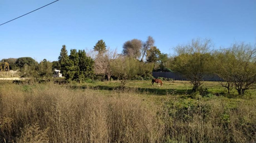 Imagen 2 de 11 de Lote En Venta En Victoria
