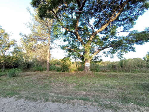 Se Vende Lote En Cordoba