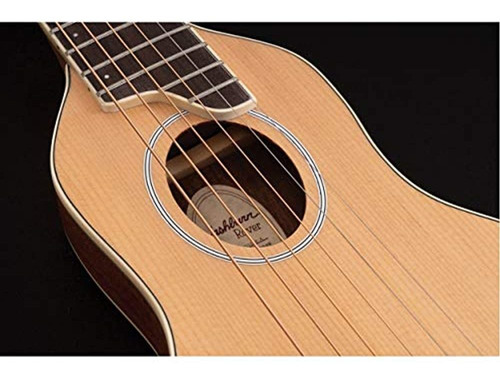 Washburn Ro10 Rover Steel String Travel Guitarra Acustica -