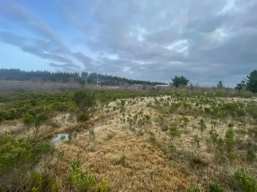 Terreno Parque Industrial El Jardin