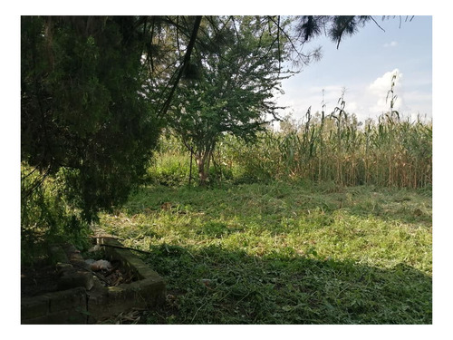 Imagen 26 de 30 de Terreno En Venta Cerca Del Aeropuerto