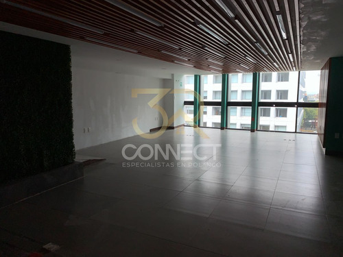 Oficina En Renta En Polanco 4c/3b/2e - Bodega - 260m2