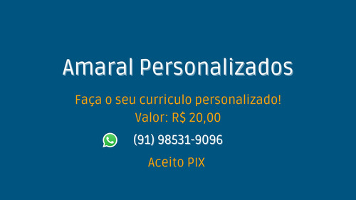 Imagem 1 de 2 de Faça O Seu Currículo Personalizado