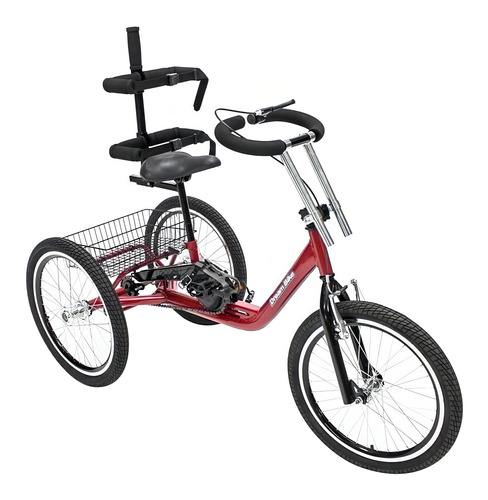 Bicicleta Triciclo Adaptado Aro 20 Ou 24 Completo 