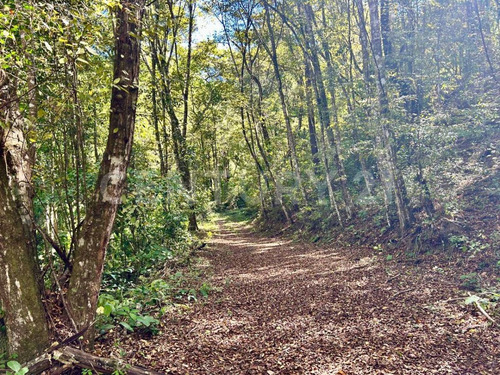 Terreno En Venta En San Sebastian Del Oeste