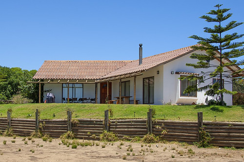 Maitencillo