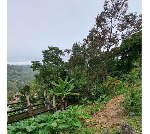 Imagen 5 de 5 de Terreno En Venta Municipio Turumo Caracas