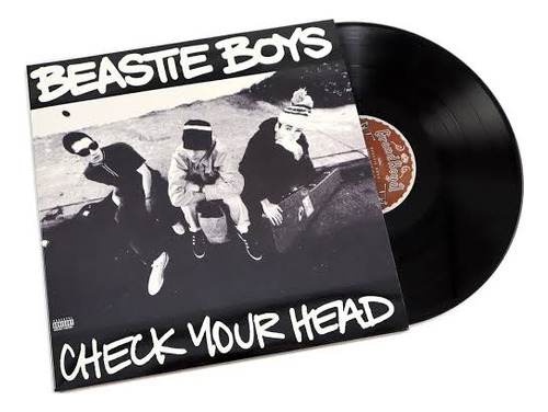 Lp Beastie Boys - Check Your Head (duplo) 