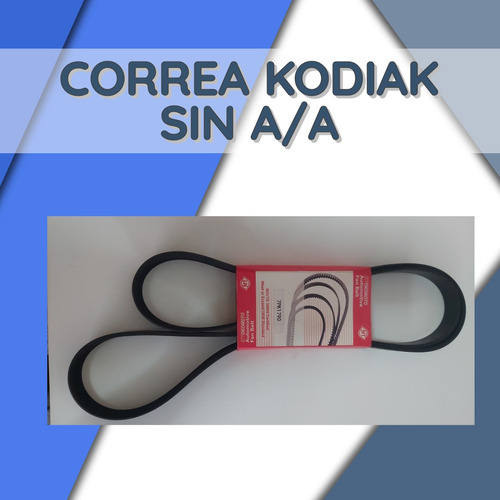 Correa Kodiak Sin A/a