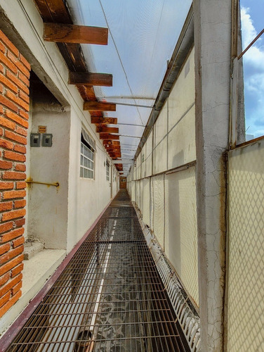 Imagen 8 de 28 de Edificio Con Habitaciones Y Casa, En Venta Cerca Del Tec De Mty Y Facultades (con Retorno Inmediato De Inversion)