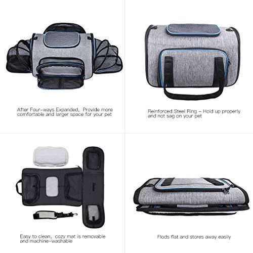 Siivton Cat Carrier Pet Carrier Pet Extensible Aprobado Por