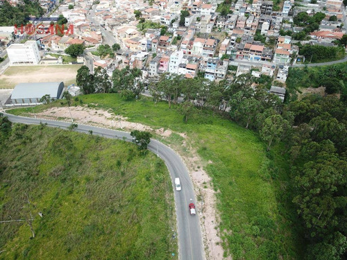 Imagem 5 de 28 de Loteamento Jardim Elza Lotes Financiados Pequena Entrada E Saldo Financiado!!! - Te0286