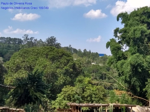 Imagem 3 de 17 de Terreno - Te00050 - 69320696