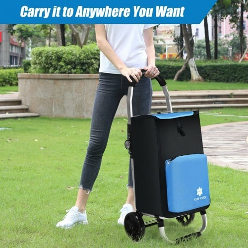 Carrito De Compras Plegable Con Bolsa Extraíble-azul