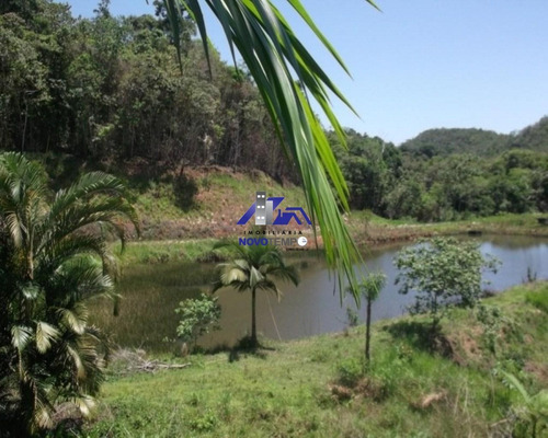 Imagem 10 de 22 de Sítio Rural À Venda, Zuna Rural, Juquiá. - St00020 - 67873852