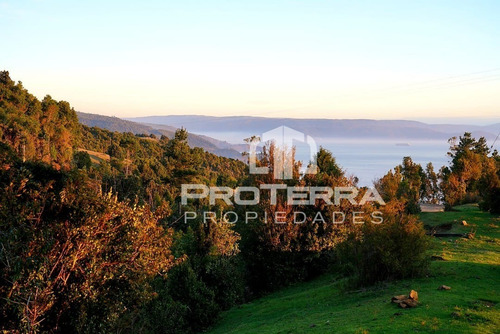 Espectacular Terreno Con Bosque Nativo En Curiñanco Valdivia