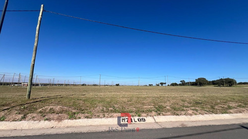 Lote En Docta Central