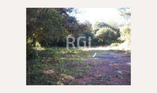 Terreno Em Teresópolis - Vi1060