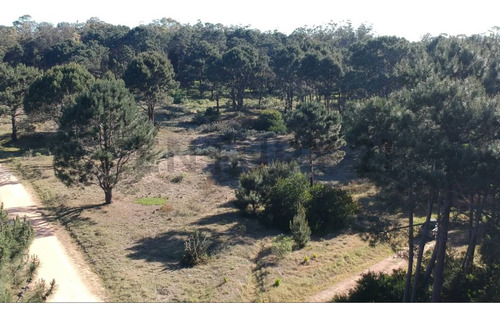 Oportunidad! Terreno En Venta Con Cañada En La Barra Prox Punta Del Este 1300mts